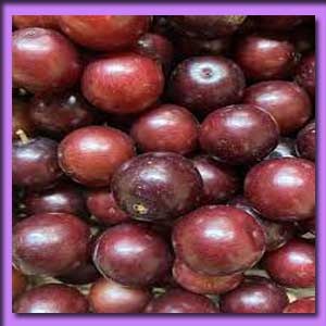 লোকলুকি