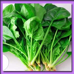 পুঁই শাঁক