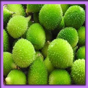 কাঁকরুল