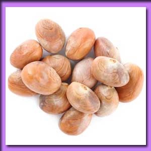 কাঠালের বিঁচি