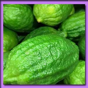 জারা লেবু