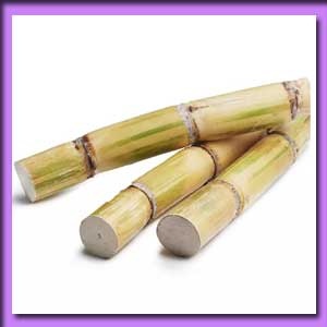 আখ/ কুইয়ার