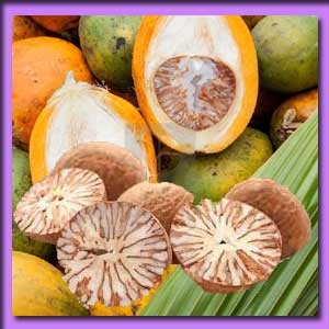 কাঁটা/কাঁচা সুপারী